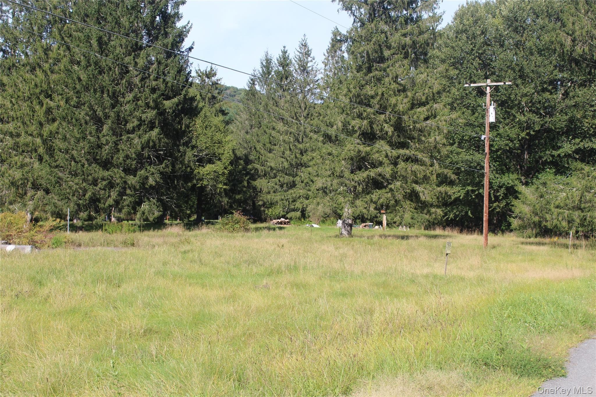 51 Wegman Road thumbnail 6