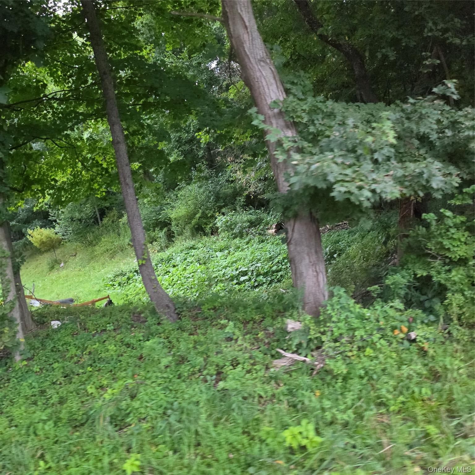 Schillings Crossing Road thumbnail 9
