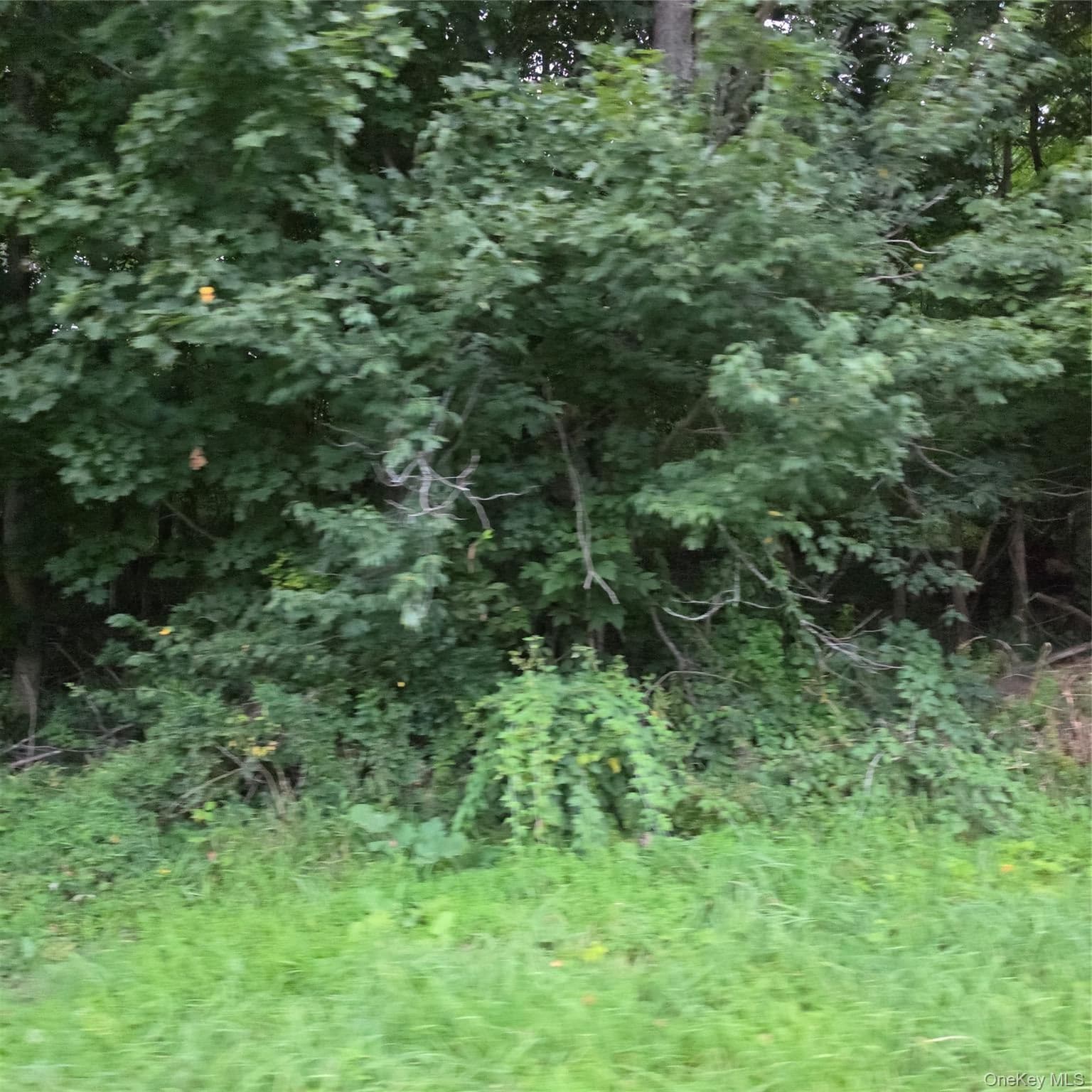 Schillings Crossing Road thumbnail 8