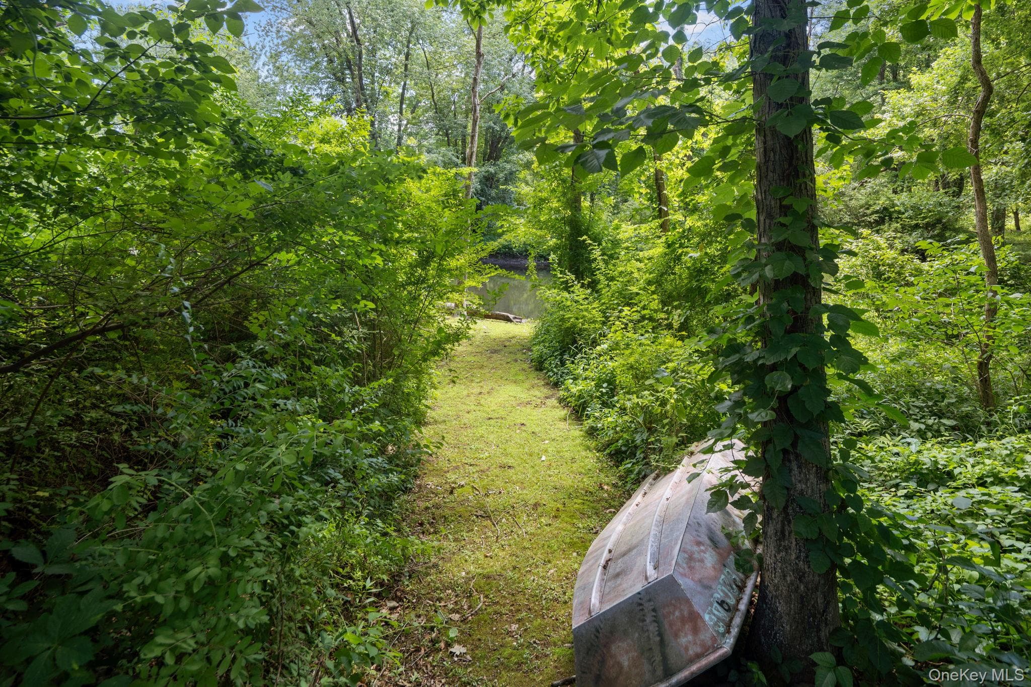 23 River Road thumbnail 6