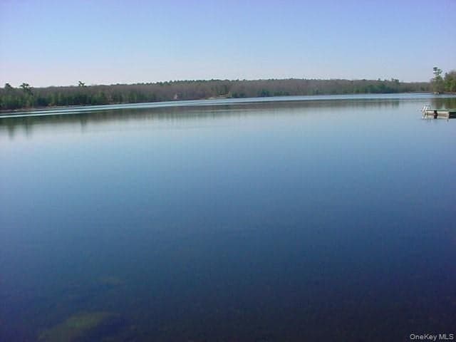 Browning Boulevard photo 1