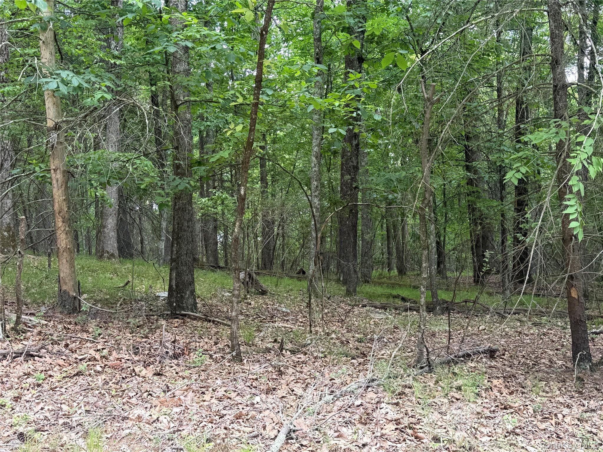 Browning Boulevard thumbnail 22