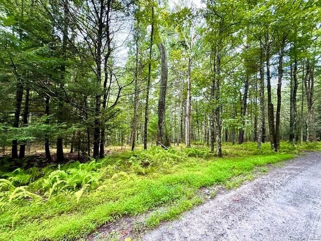 Lot 9 Black Forest Road thumbnail 13