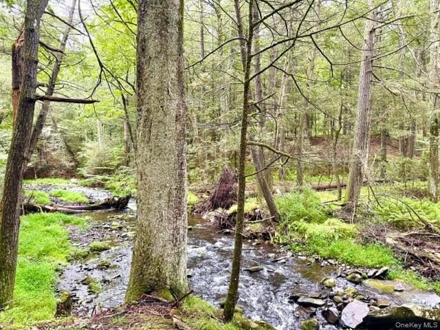 Lot 9 Black Forest Road thumbnail 7