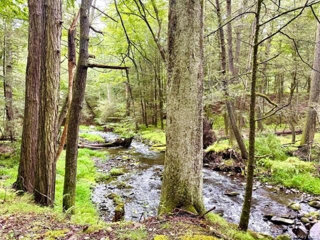 Lot 9 Black Forest Road thumbnail 2
