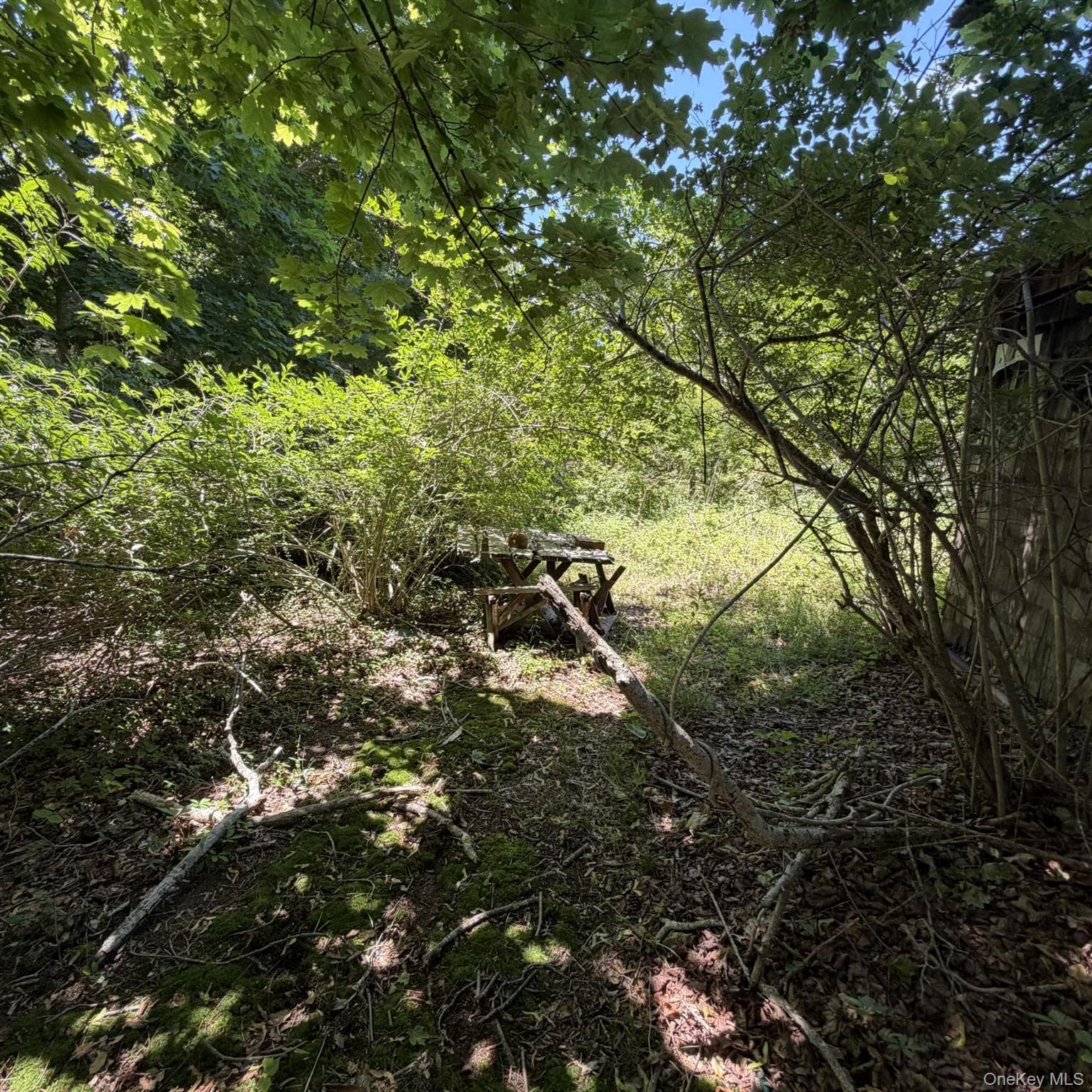 67 Tanners Neck Lane thumbnail 9