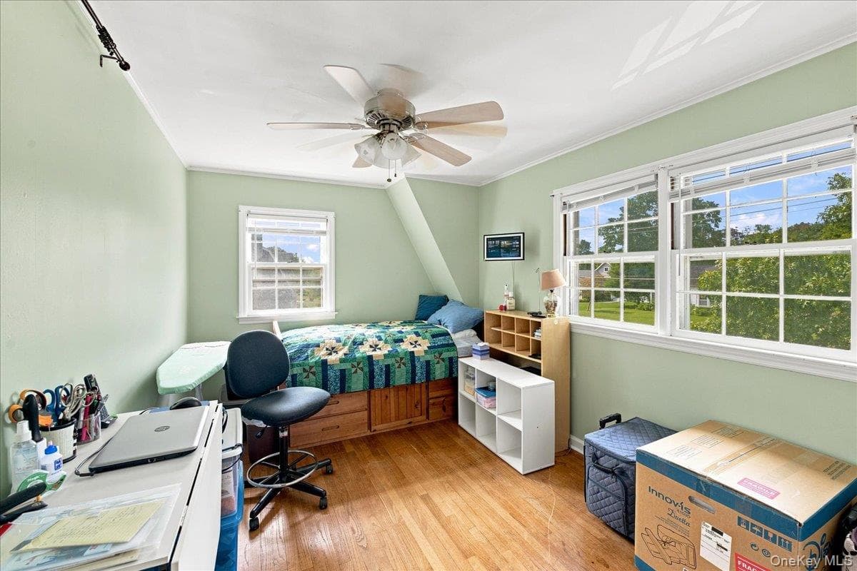 297 Maple Avenue thumbnail 12