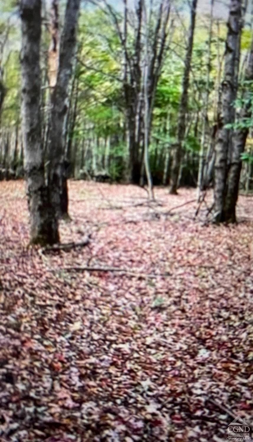 County Route 312 thumbnail 3