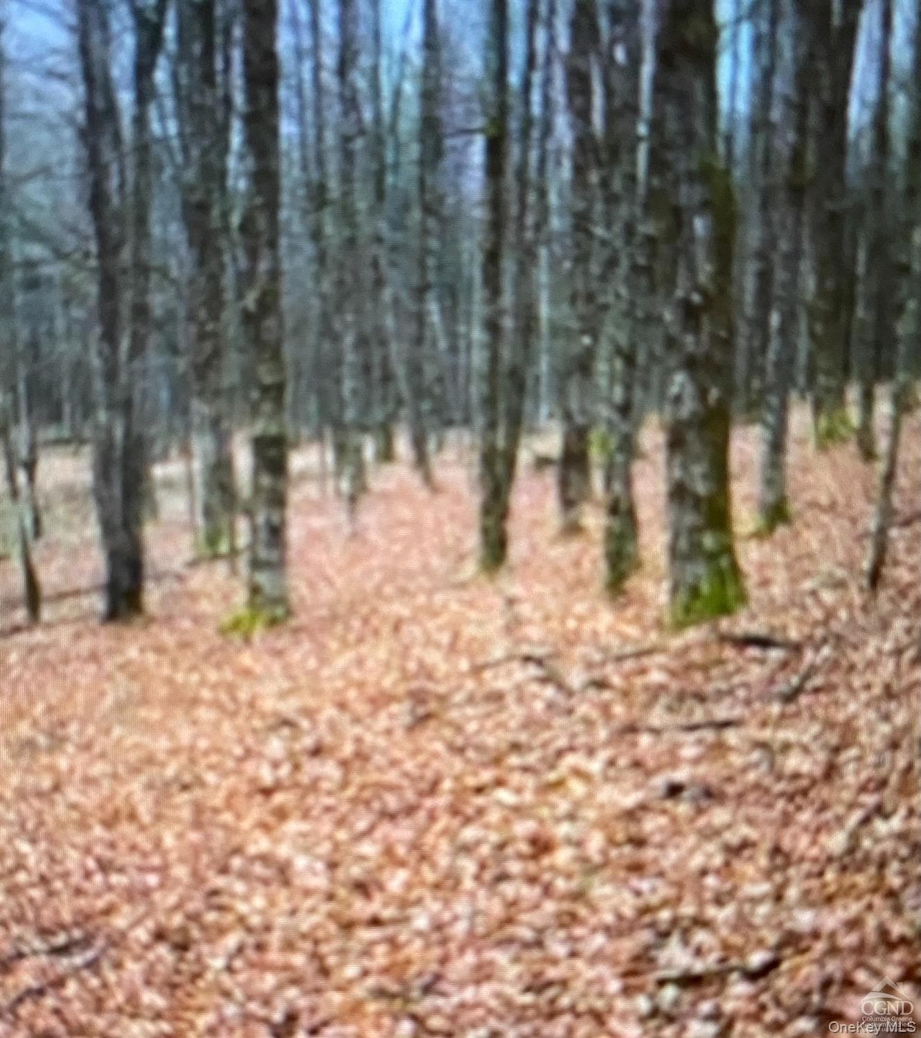 County Route 312 thumbnail 4