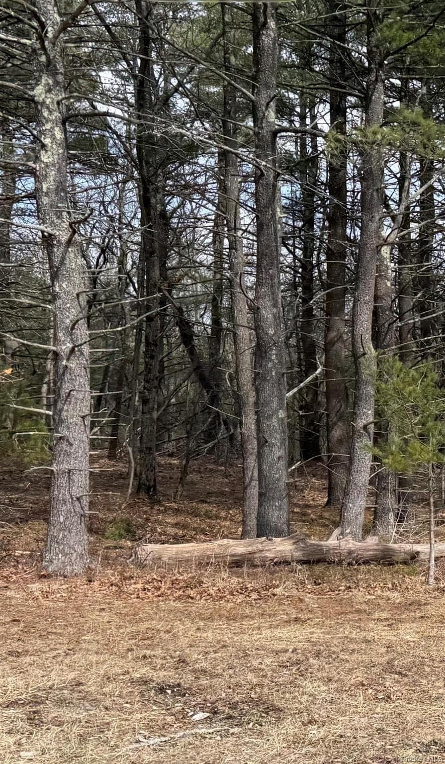 County Route 312 thumbnail 7
