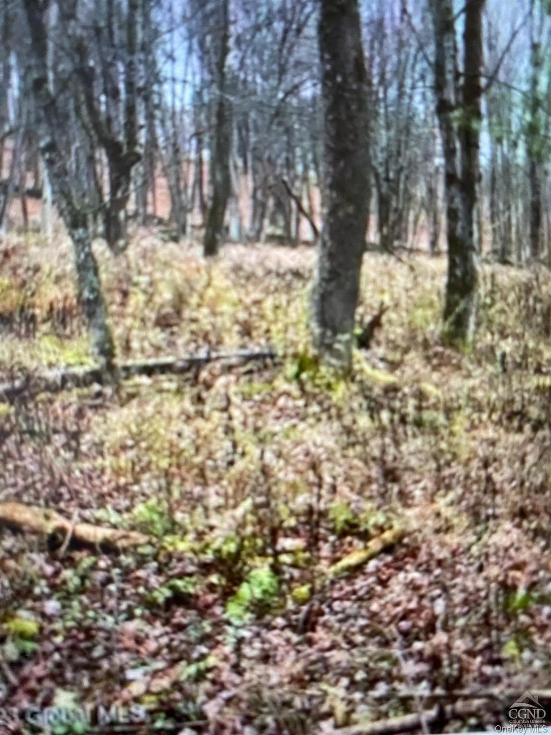 County Route 312 thumbnail 5