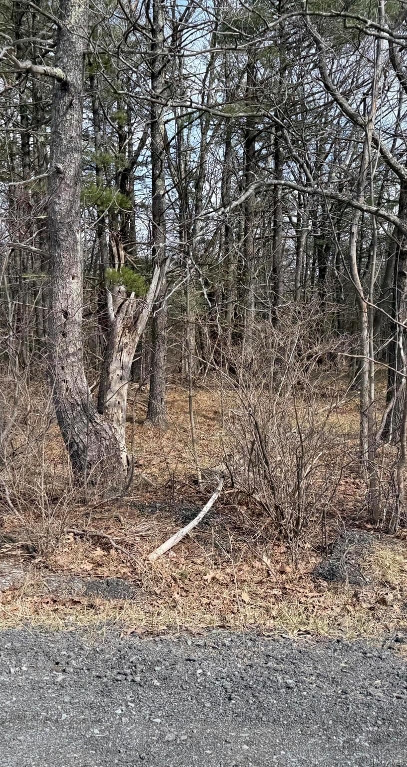 County Route 312, Call Listing Agent