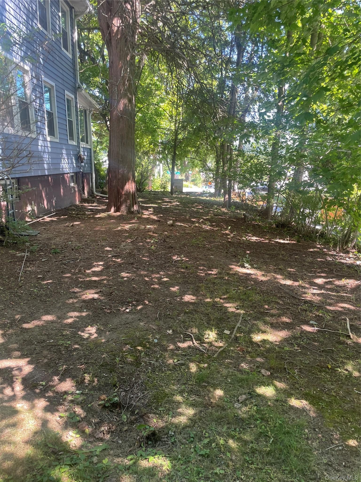 195 Prospect Avenue thumbnail 15