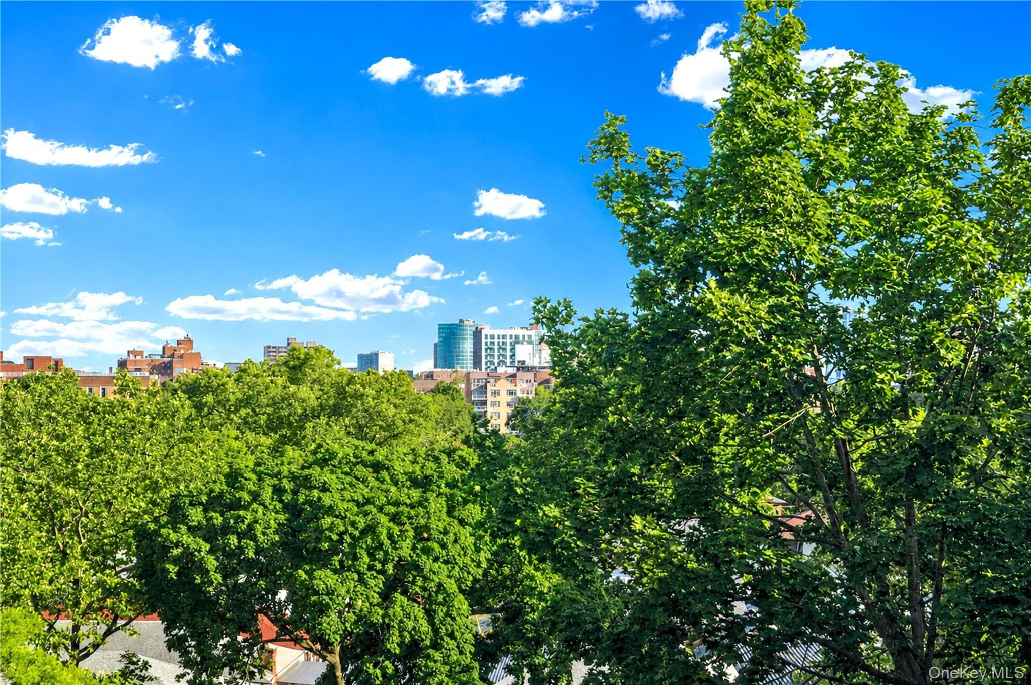 28-02 Parsons Boulevard Unit: 4E thumbnail 27