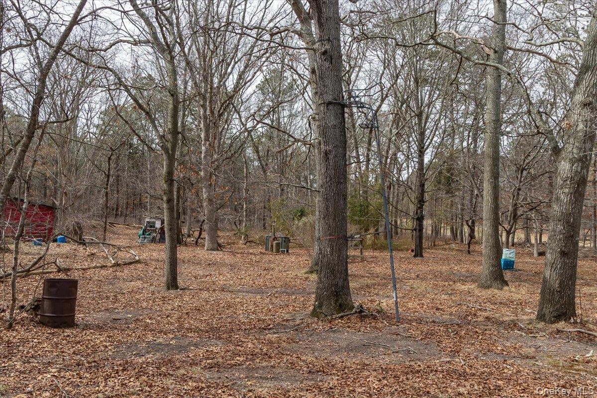 309 Primrose Path thumbnail 13