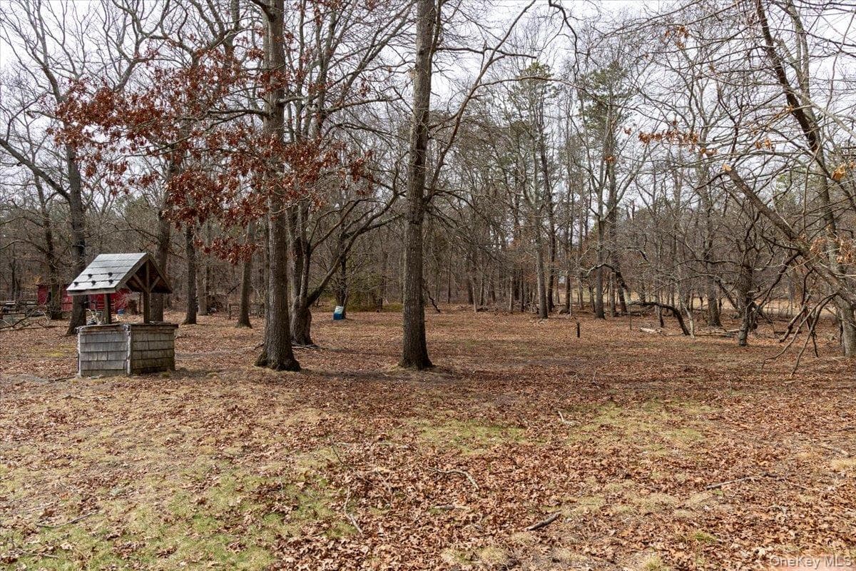 309 Primrose Path thumbnail 9