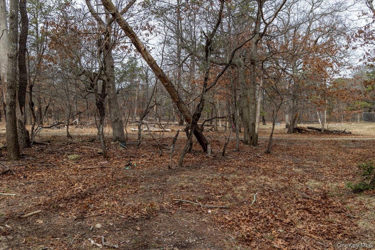 309 Primrose Path thumbnail 22