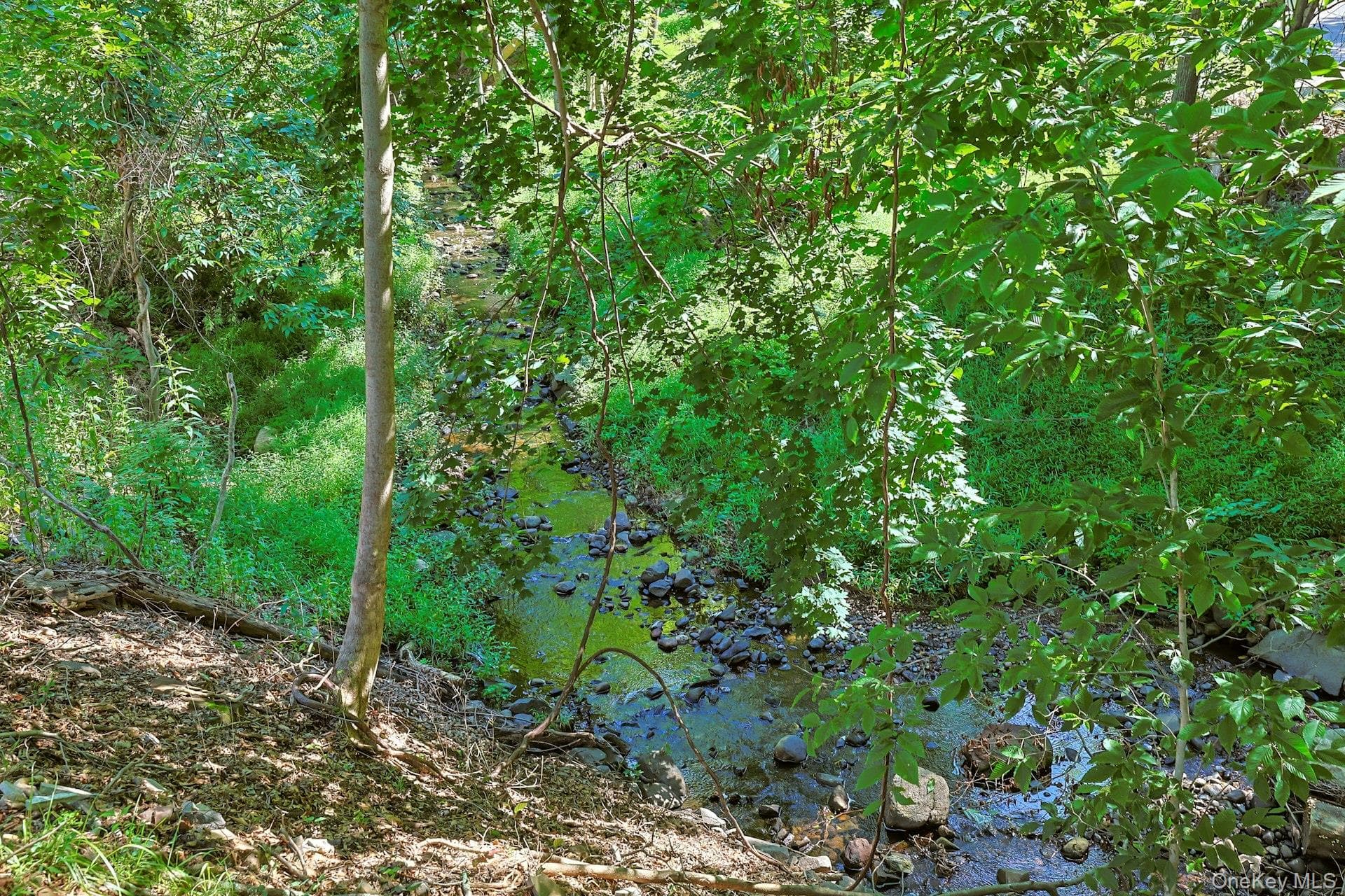 556 Babbling Brook Lane thumbnail 47
