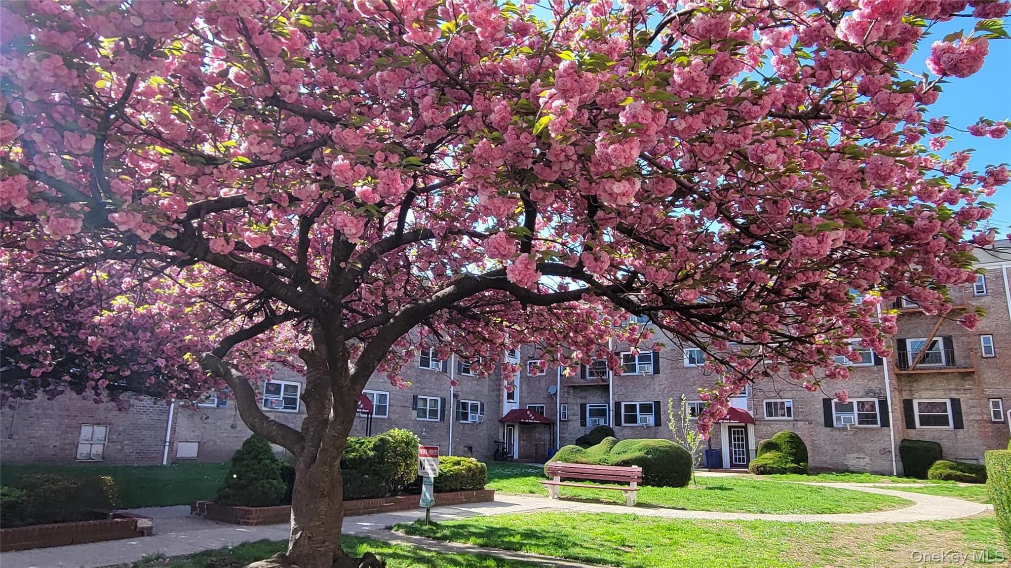 66-10 111 Street Unit: 3B, Forest Hills