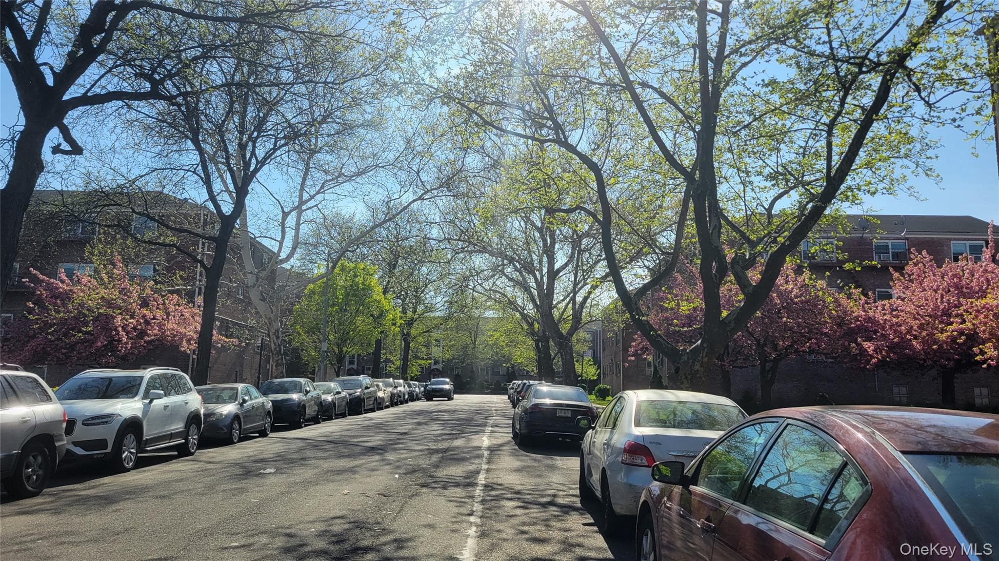 66-10 111 Street Unit: 3B thumbnail 15