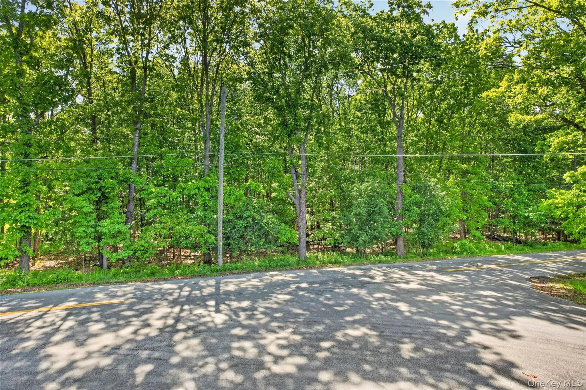 Dosen Road photo 1