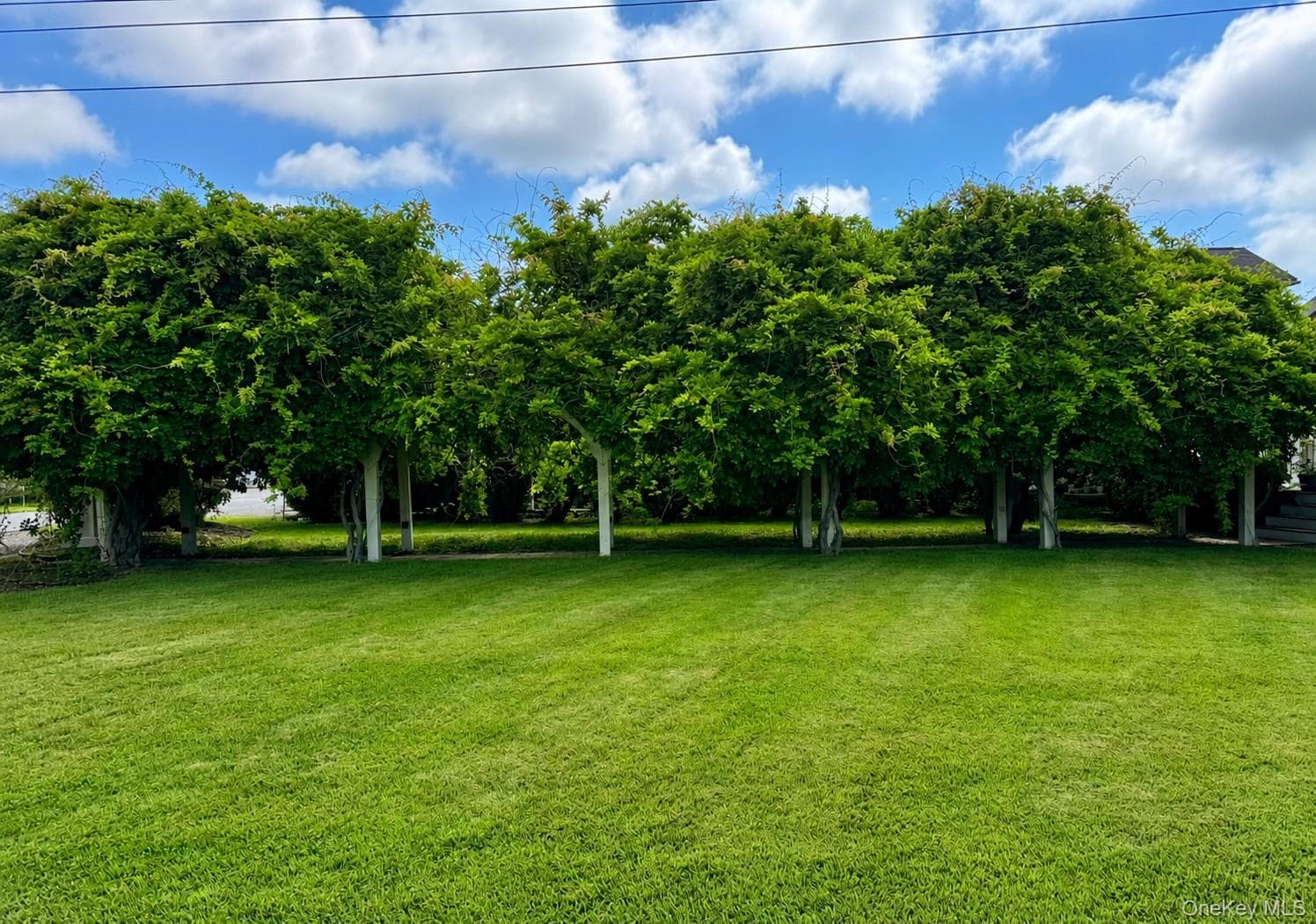 15 Esopus Avenue thumbnail 18