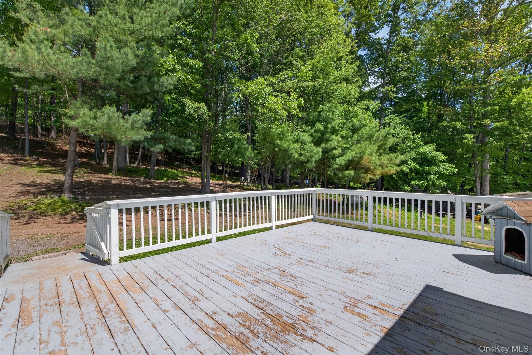 20 Patrick Drive thumbnail 36