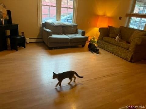 11 Phyllis Drive thumbnail 3