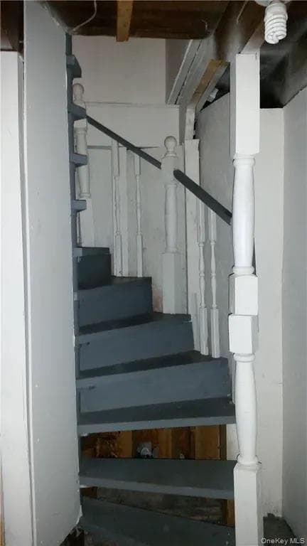 11 Phyllis Drive thumbnail 16