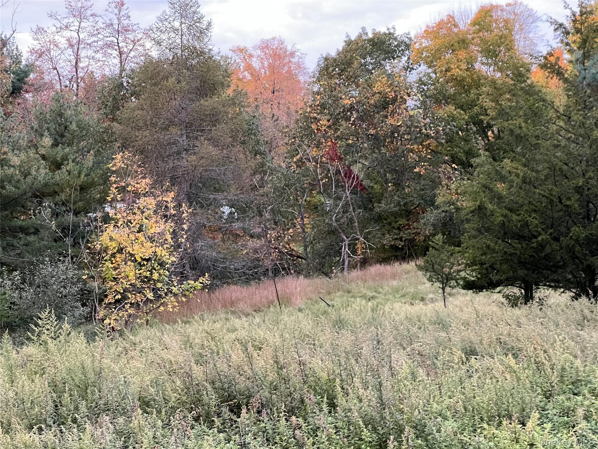 1961 County Route 27 thumbnail 11
