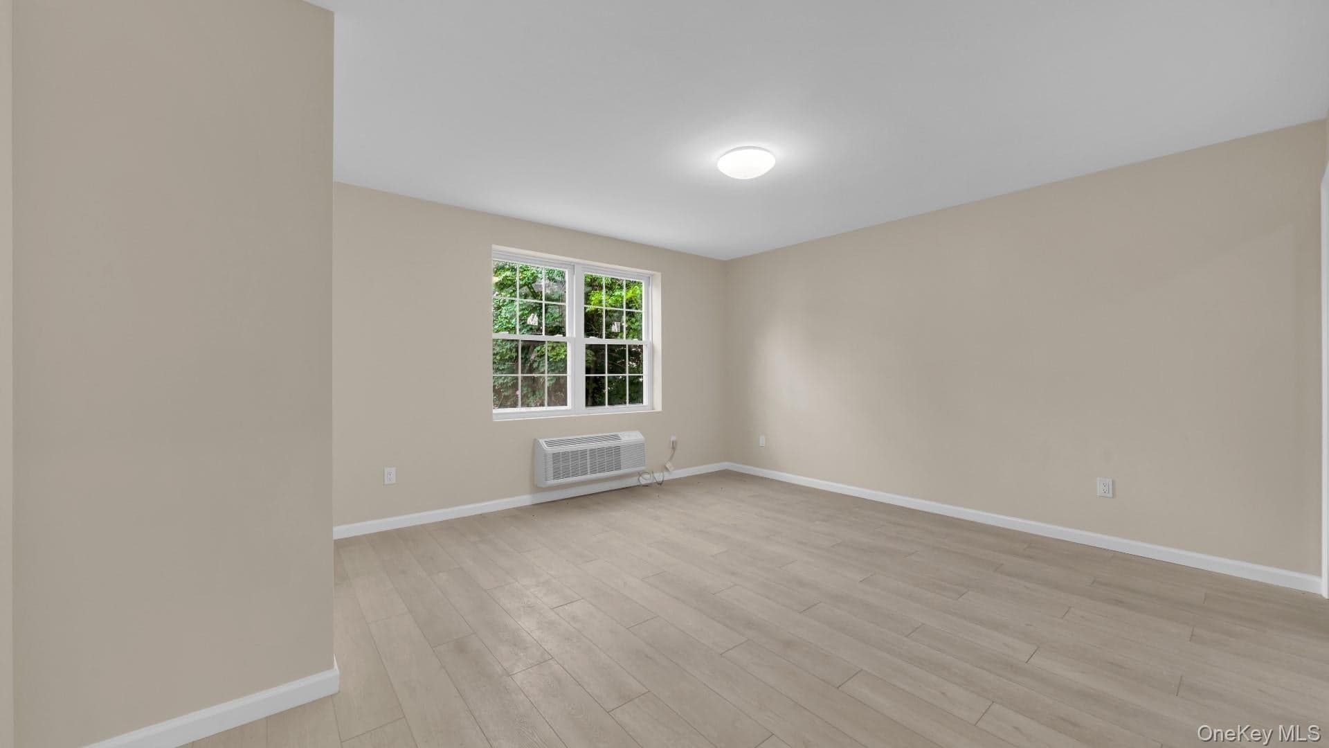 955 E 229th Street thumbnail 19