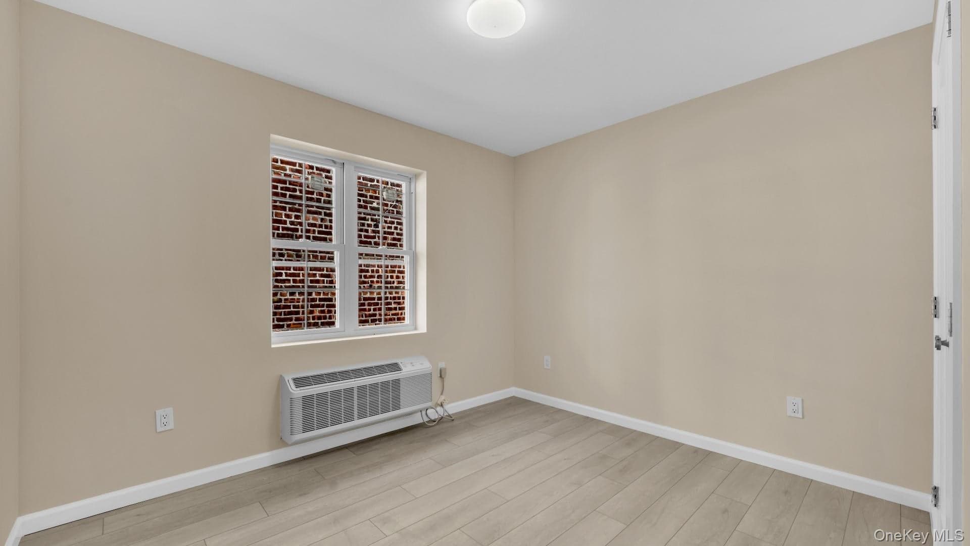 955 E 229th Street thumbnail 26