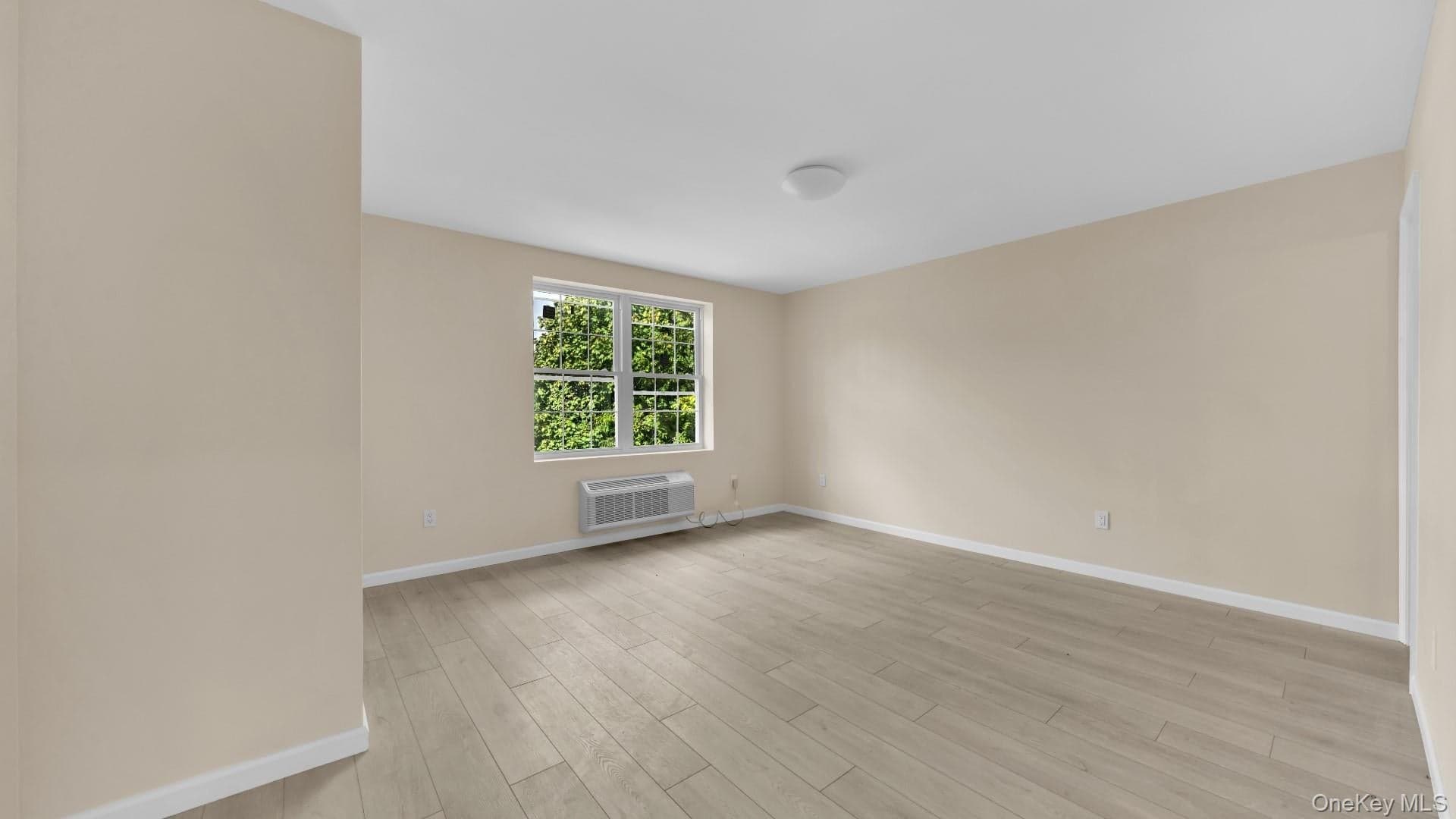955 E 229th Street thumbnail 29