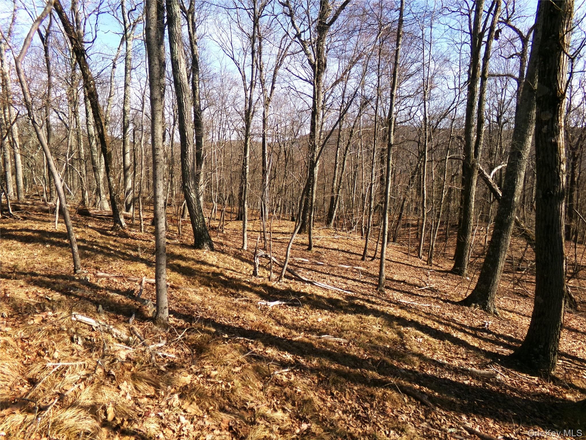 303 Hicks Hill Road thumbnail 41