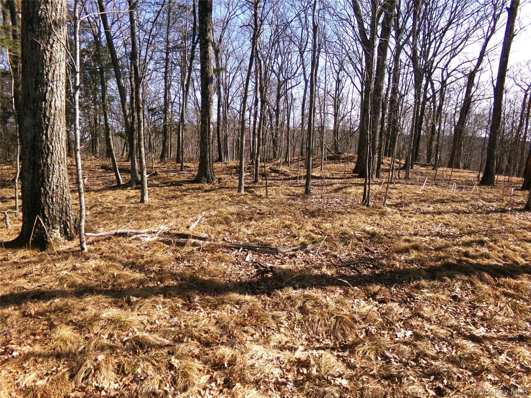 303 Hicks Hill Road thumbnail 40