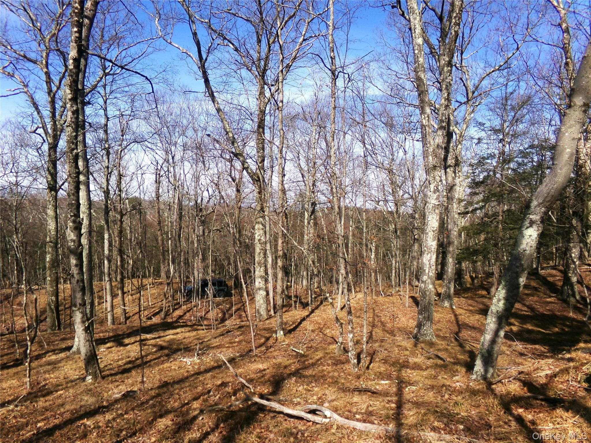 303 Hicks Hill Road thumbnail 39