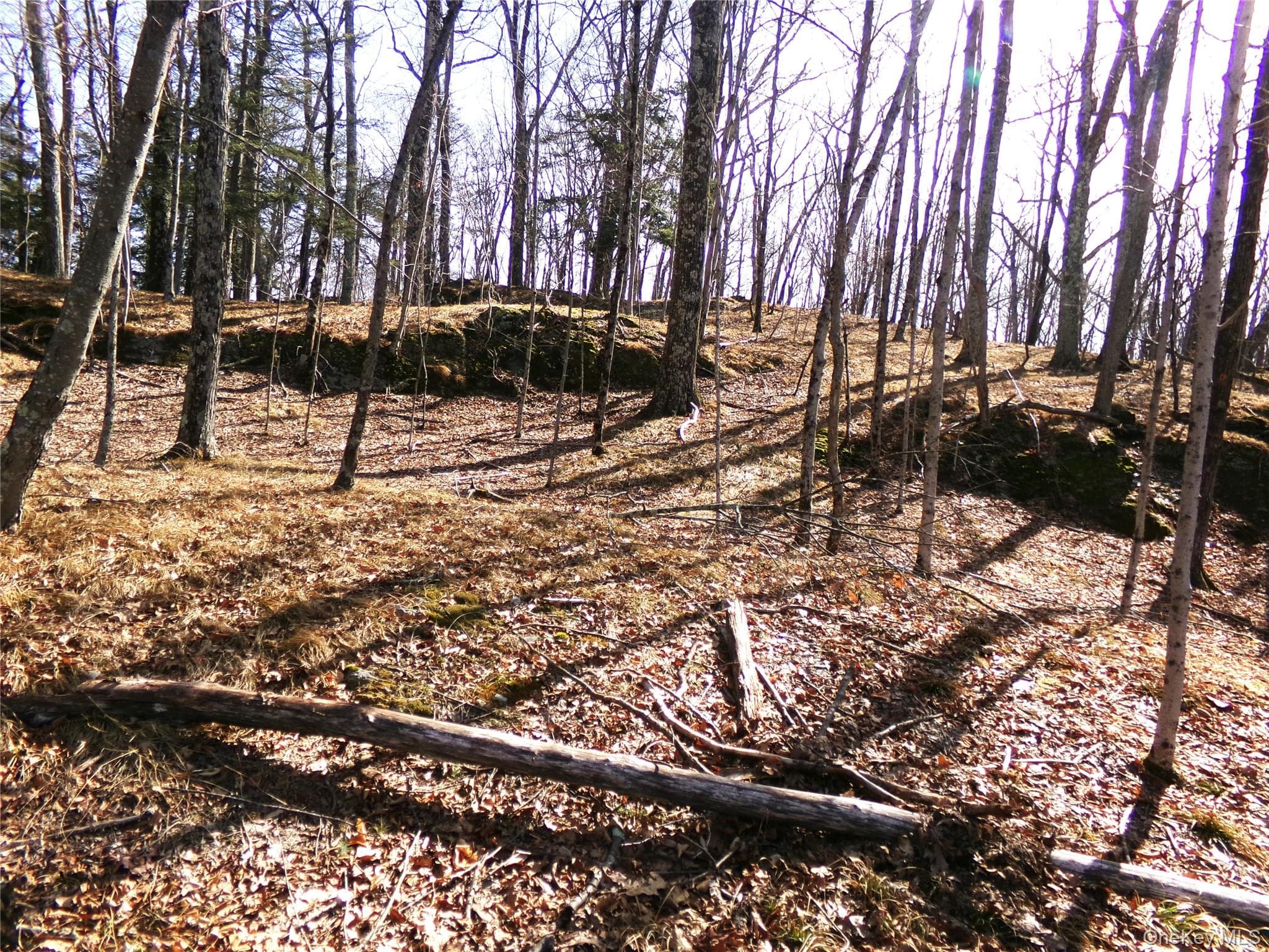 303 Hicks Hill Road thumbnail 38