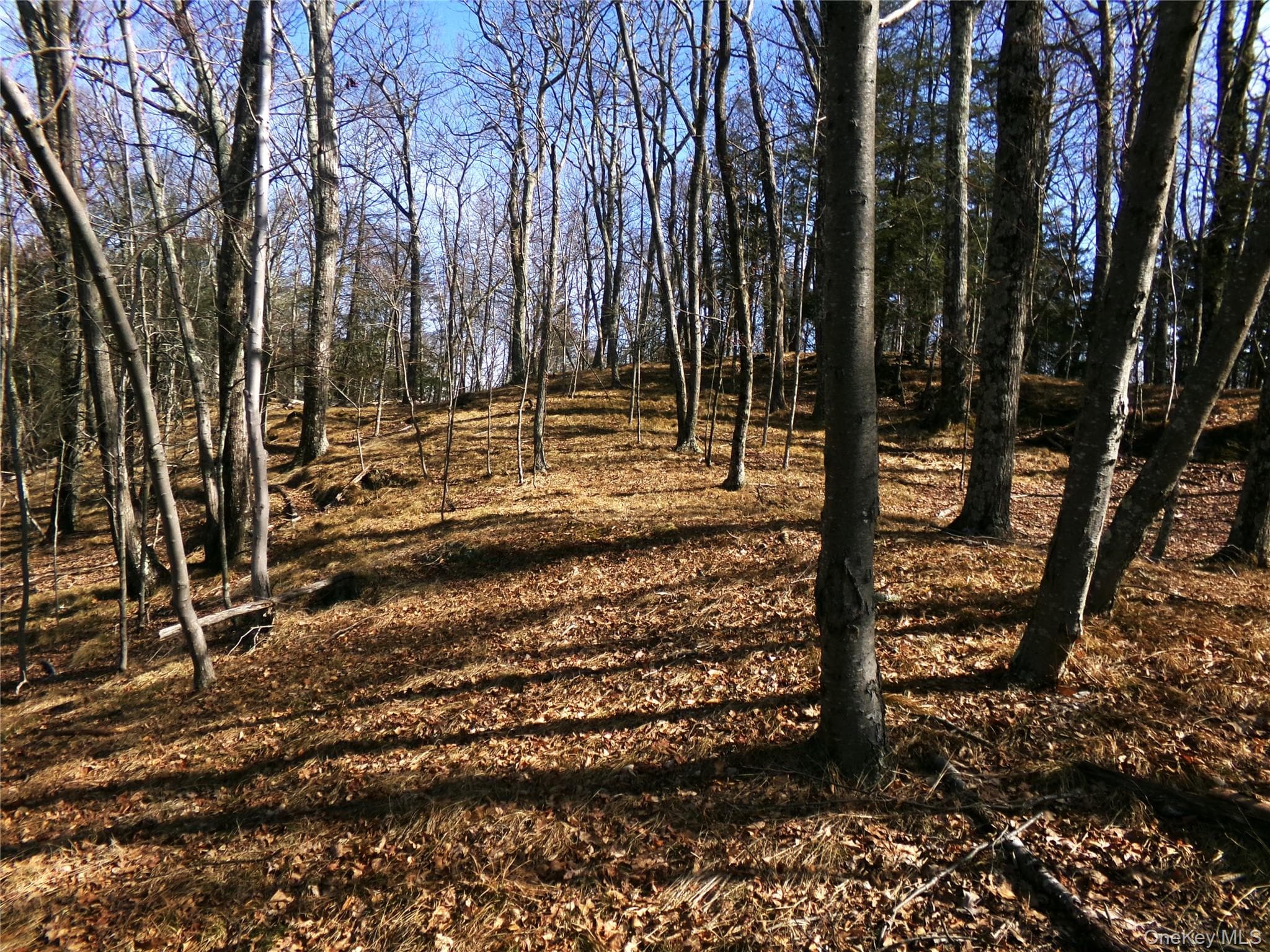 303 Hicks Hill Road thumbnail 37