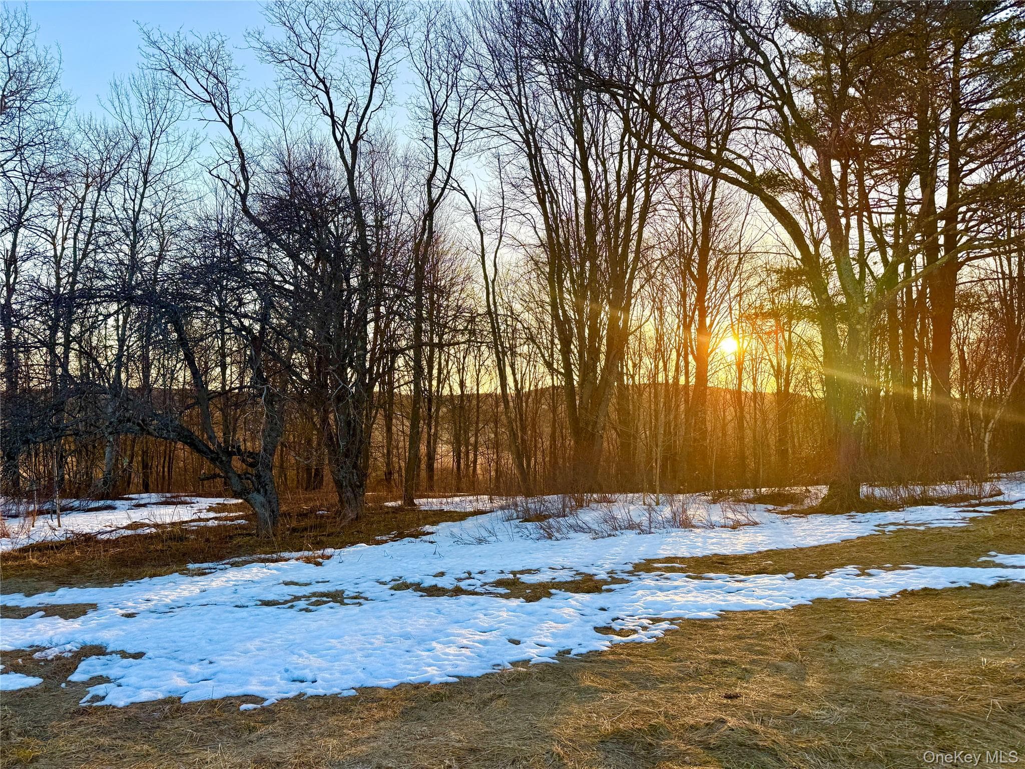 TBD Snake Hill Road thumbnail 5