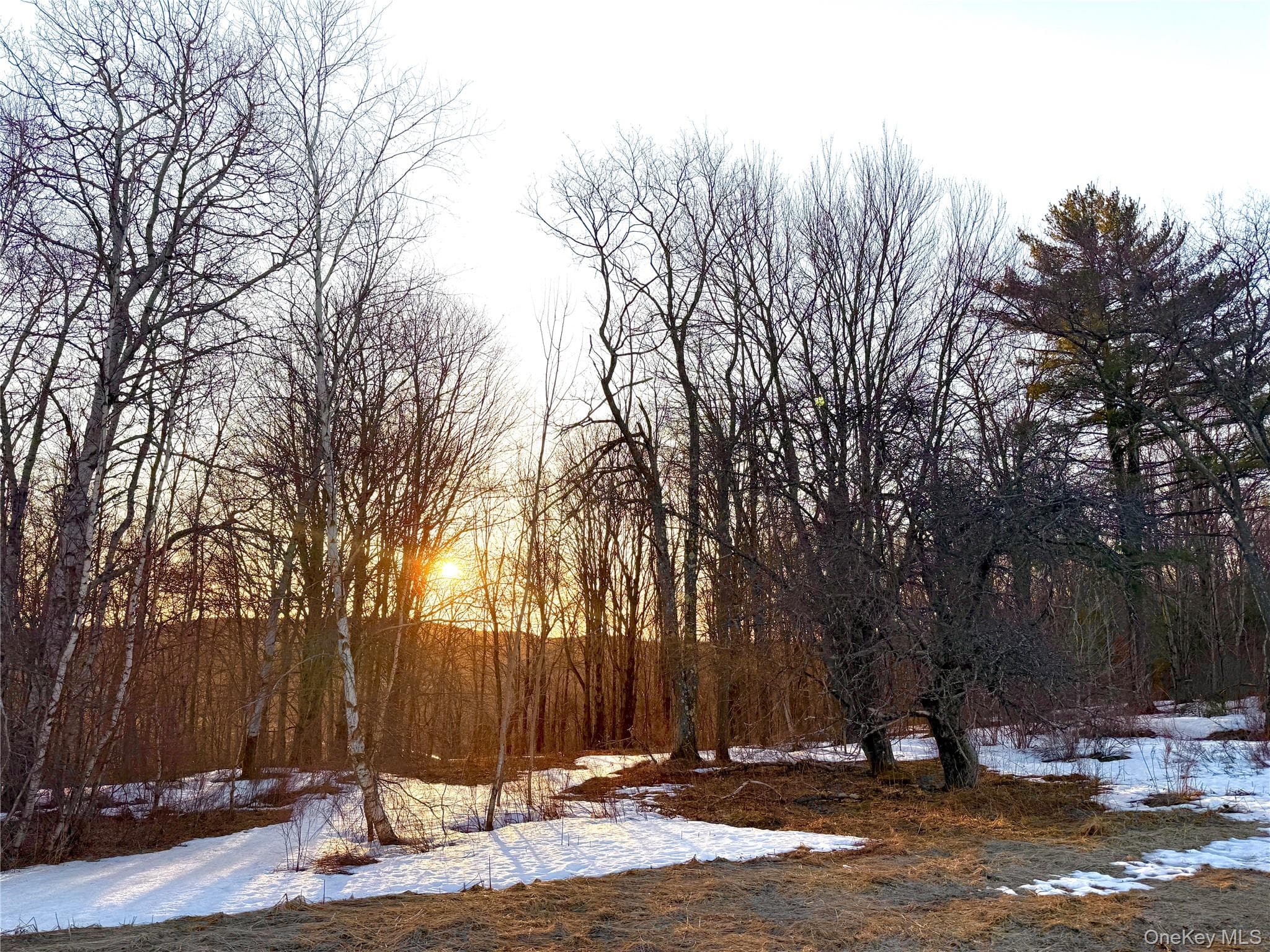TBD Snake Hill Road thumbnail 9