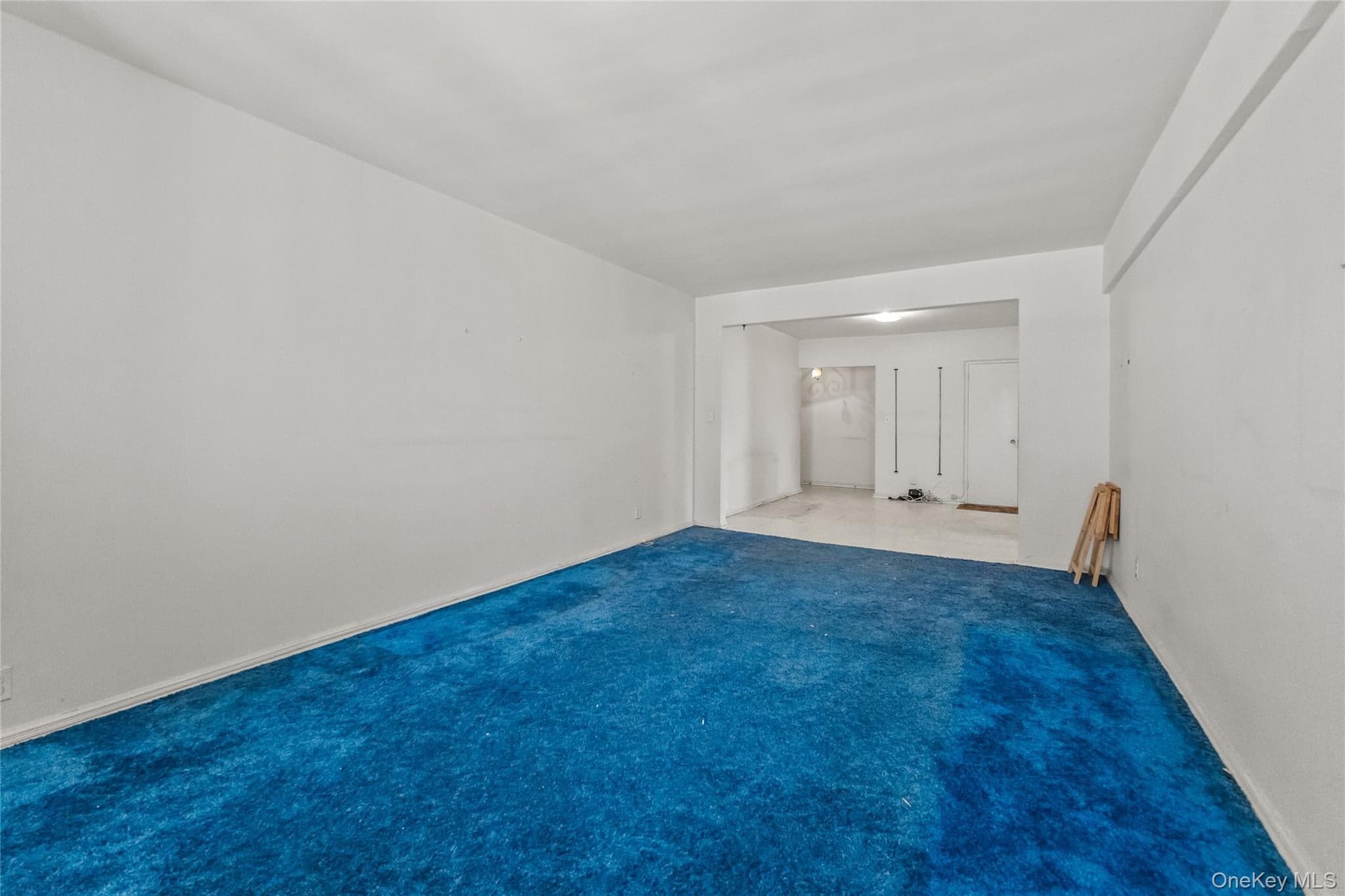501 Riverdale Ave Unit: 4C thumbnail 12