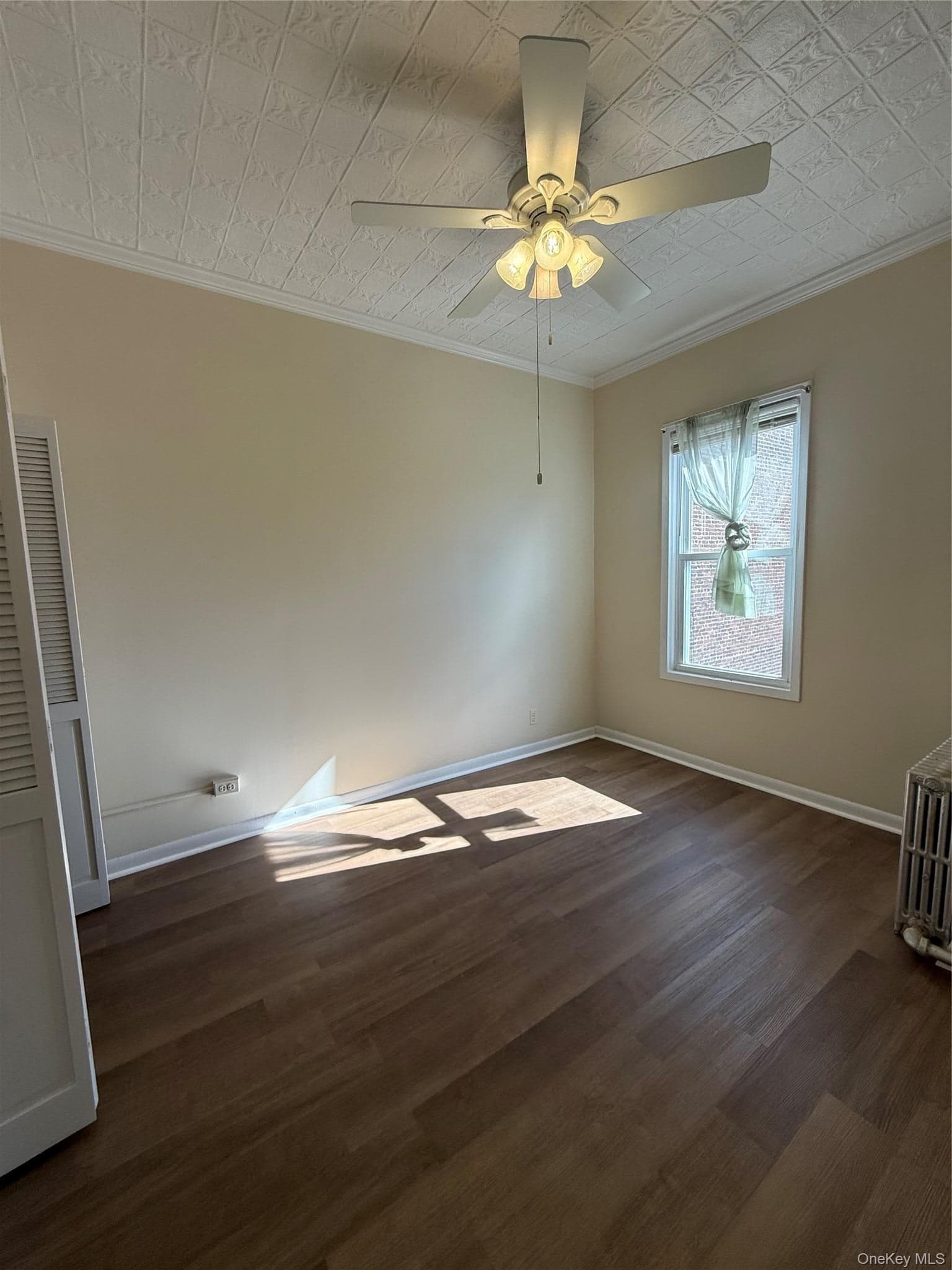 868 Morris Park Avenue thumbnail 13