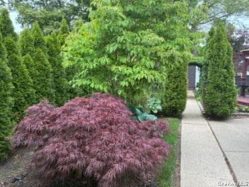 1661 Old Country Road Unit: 383 thumbnail 8