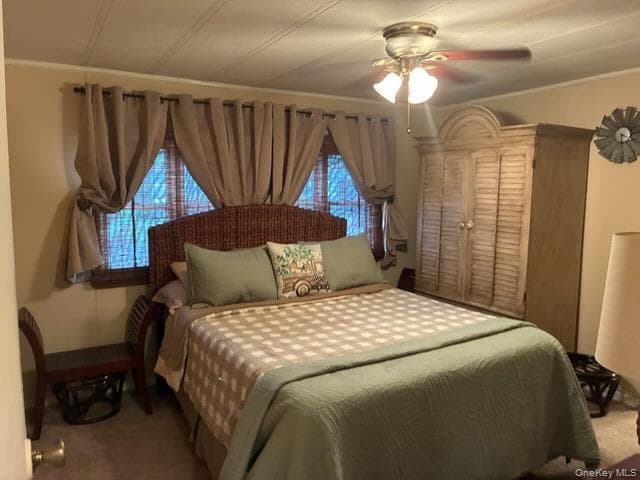 1661 Old Country Road Unit: 383 thumbnail 32