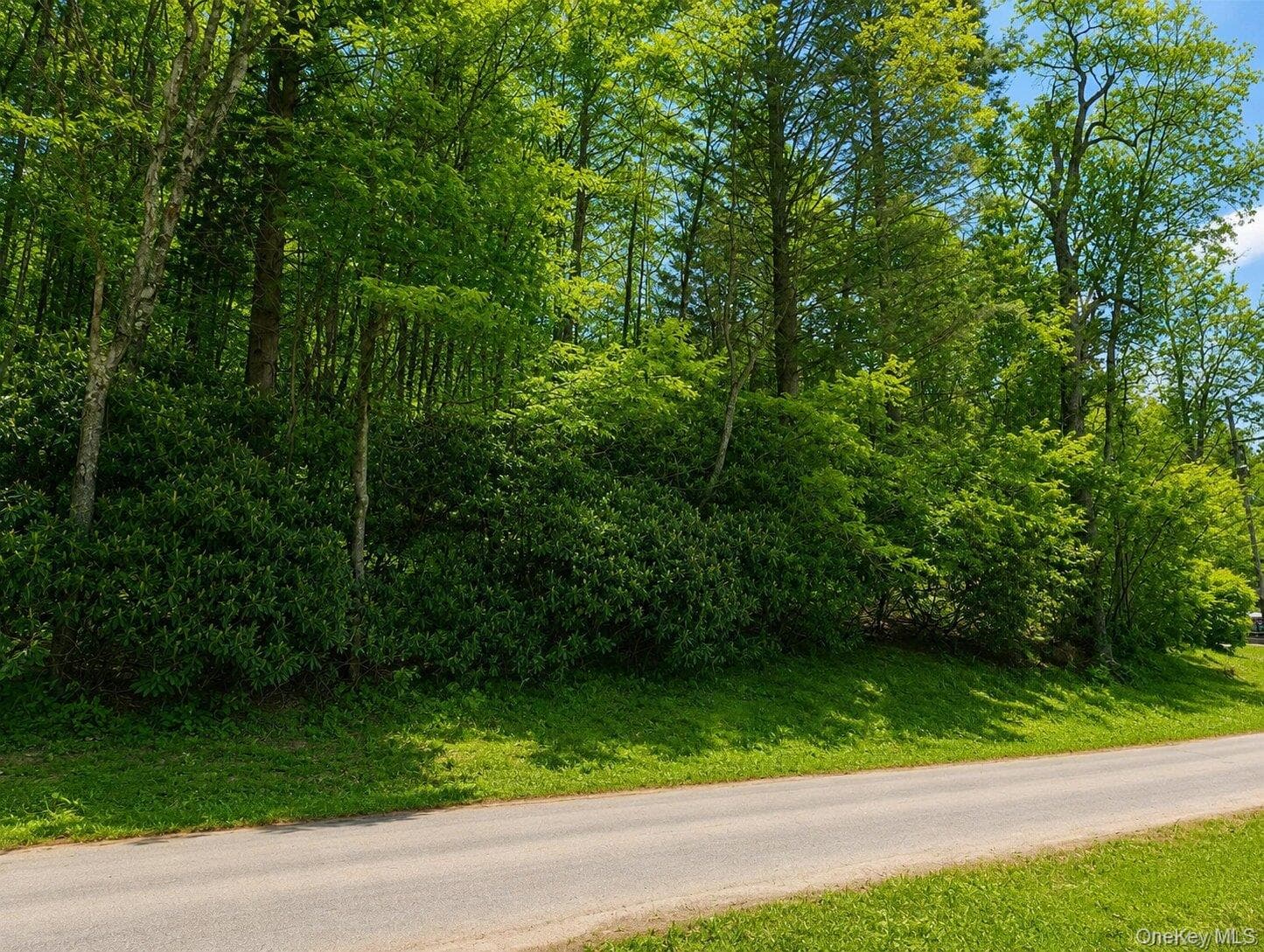 Benton Hollow Road thumbnail 4