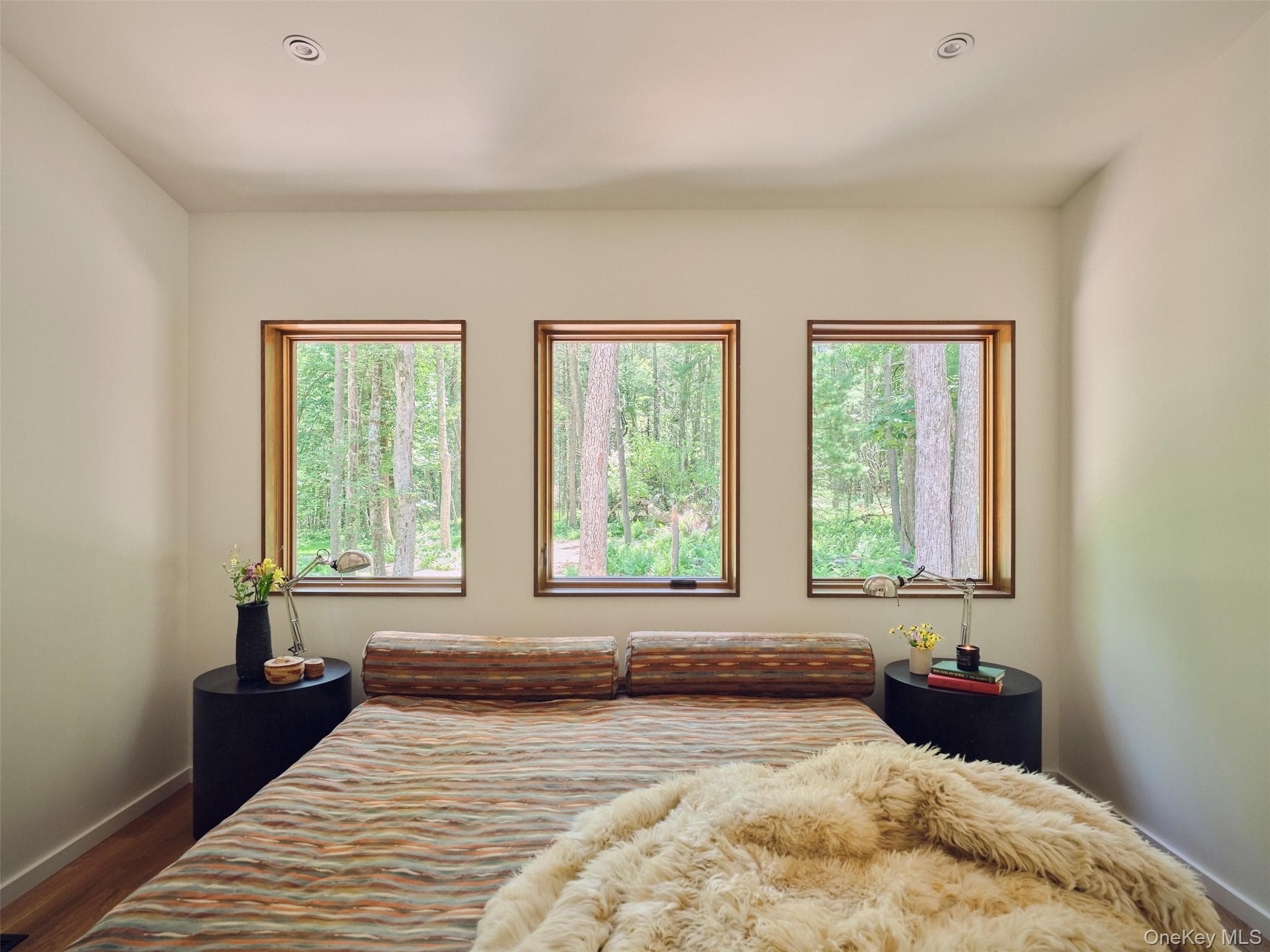 167 Timber Lake Drive thumbnail 27