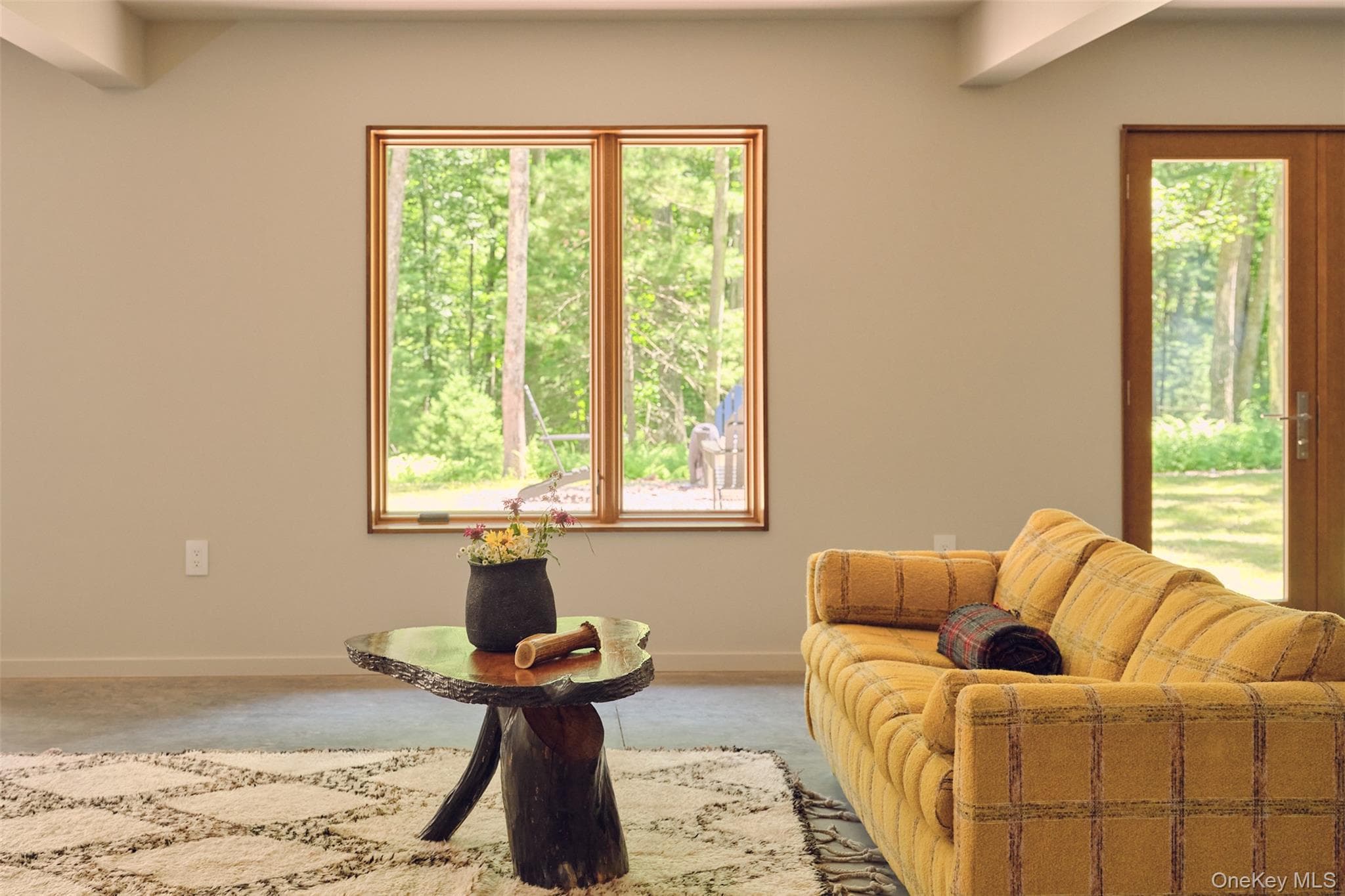 167 Timber Lake Drive thumbnail 41