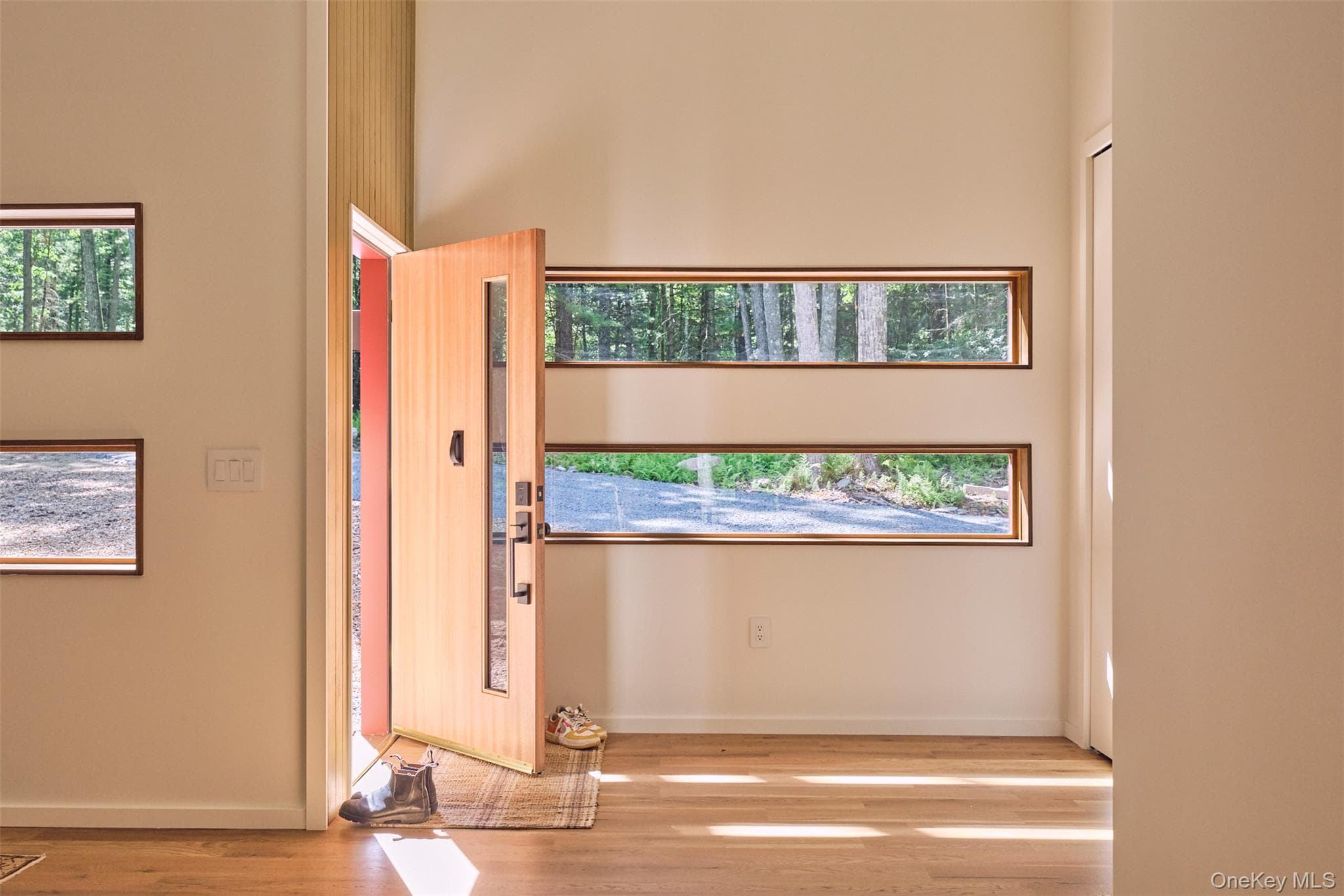 167 Timber Lake Drive thumbnail 33