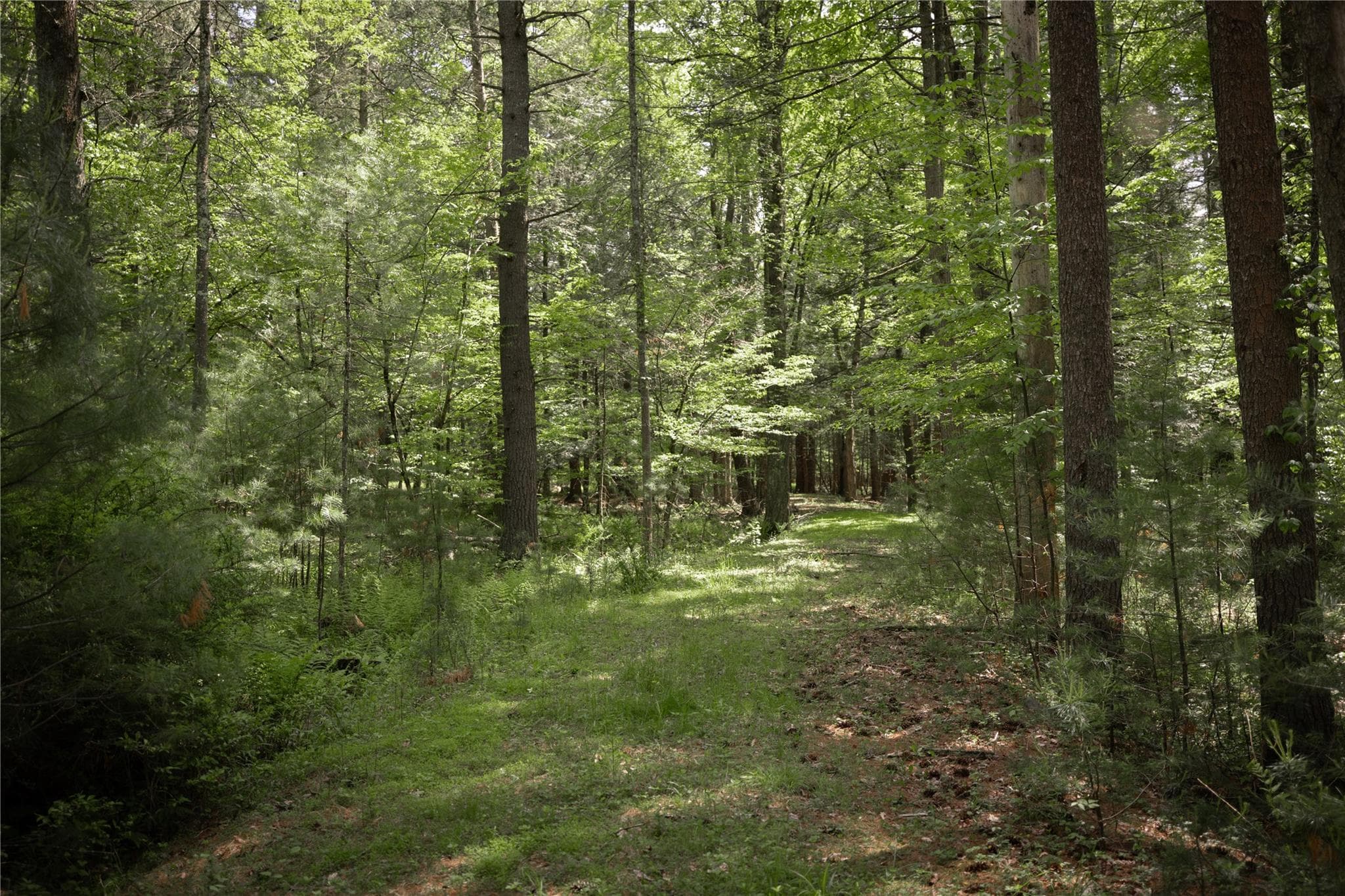 300 Mt Laurel Road thumbnail 8