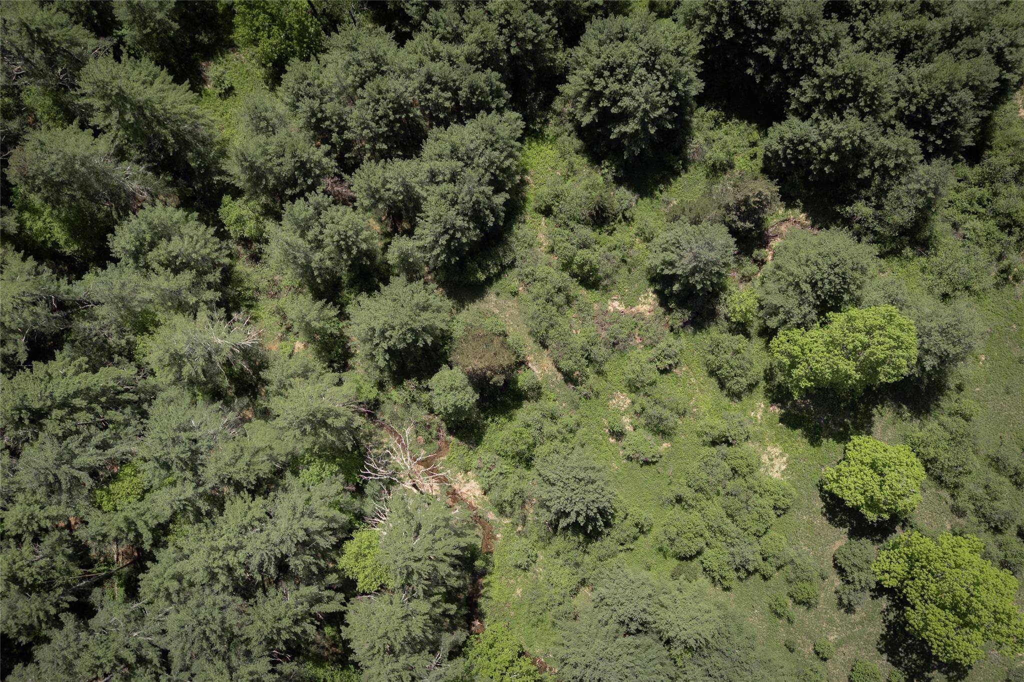 300 Mt Laurel Road thumbnail 10